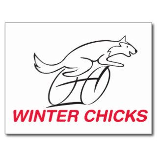 Winter Chicks Gear Post Card