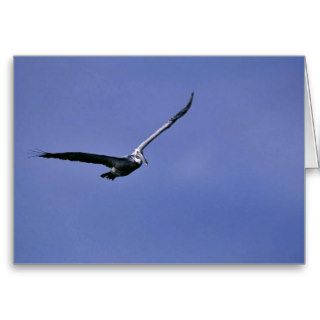 Brown pelican flies above Pelican Island National Card