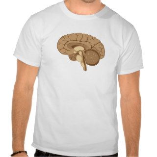 Human brain anatomy funny Shirt