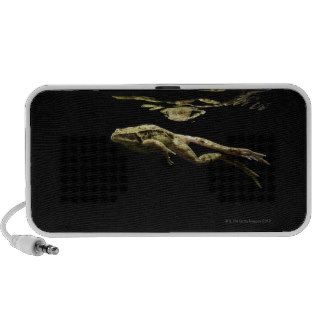frog swimming in the dark just below the surface laptop speaker