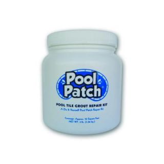 Pool Patch 3 lb. White Pool Tile Grout Repair Kit PTGRW3