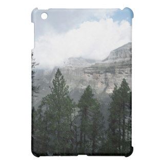 Coniferous Forest Beside a Large Canyon Case For The iPad Mini