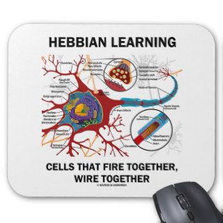 Hebbian Learning Cells Fire Together Wire Together Mousepads