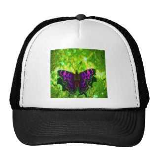 Purple butterfly with green background mesh hat