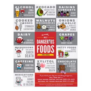 Flyers  The World's Most Dangerous Food For Dogs