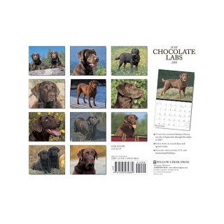 Just Chocolate Labs 2008 Calendars (Just (Willow Creek)) Willow Creek Press 9781595434869 Books