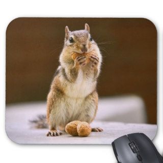 Cute Chipmunk Eating a Peanut Mouse Pads