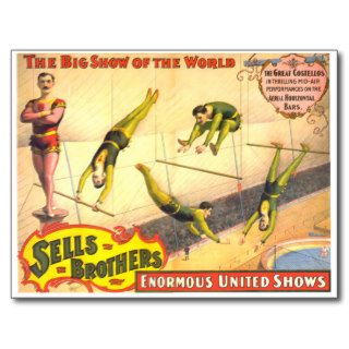 Sells Brothers Circus ~ Trapees Act Post Cards