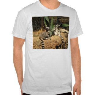 Ringtail Lemurs T shirts