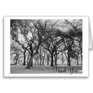Central Park Thank You Greeting Cards