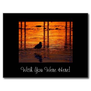 Wish You Were Here Postcards