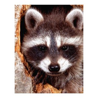 Raccoon Natural Bandit Personalized Letterhead