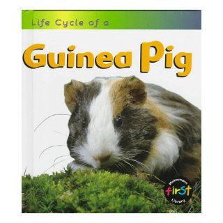 Guinea Pig (Life Cycle of A) Angela Royston 9781575726144 Books