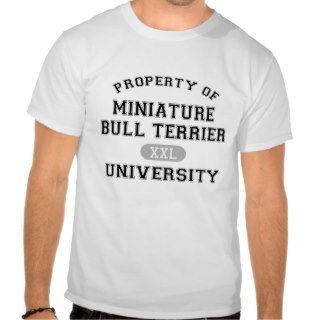 Property of Miniature Bull Terrier University Shirts