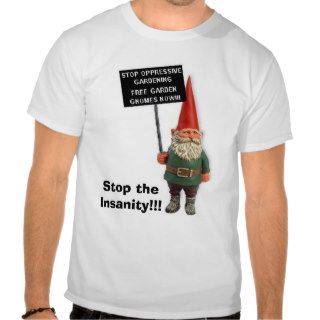 Stop the Insanity T shirt