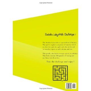 Sudoku Labyrinth Challenge 1 Martin Duval 9781493640287 Books