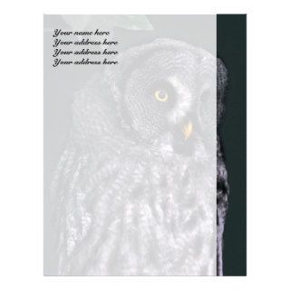 Great Grey Owl Letterhead Template