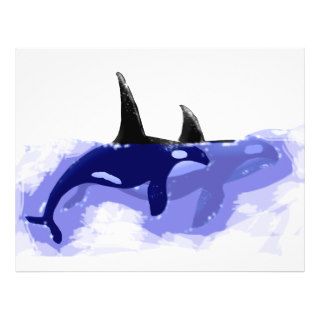 Orcas Killer Whales Flyer