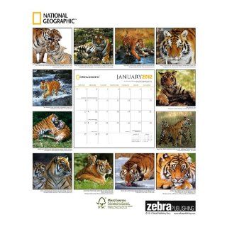 2012 Tigers   National Geographic Wall calendar (9781554564316) Zebra Publishing Corp. Books