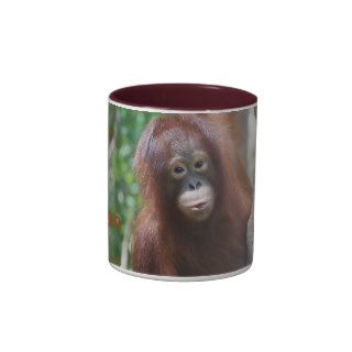 Krista Orangutan Fan Club mug
