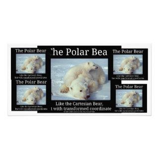 Polar Bear Cartesian Bear Photo Card Template