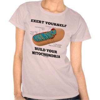 Exert Yourself Build Your Mitochondria Tees