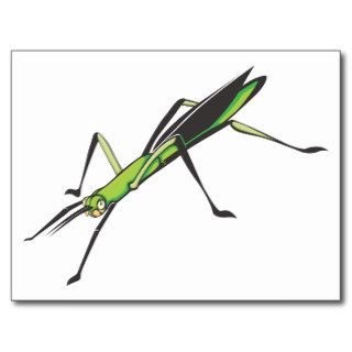Serious Stick Insect Postcard
