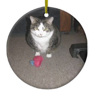 Grumpy Fat Cat is not amused Ornaments