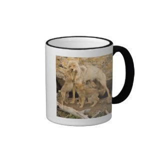 Coyote Family Forehand Coffee Mugs