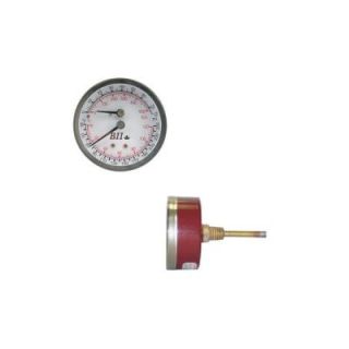 Tridicator/Boiler Temperature and Pressure Gauge TR25X1CB160/250