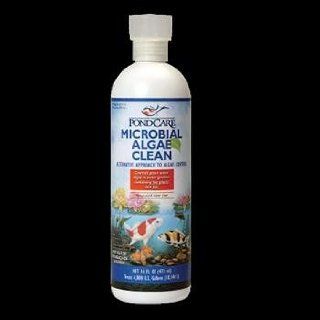 USA Wholesaler   AAP269B   Pondcare Microbial Algae Clean 16oz Bottle Patio, Lawn & Garden