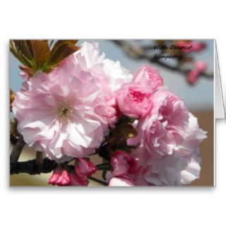 With Deepest Sympathy Spring Flowers Greeting Cards