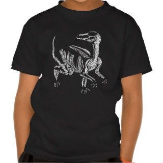 Mr Segnosaurus Tee Shirts