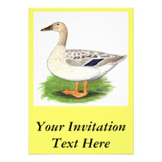 Duck  Snowy Mallard Hen Invites