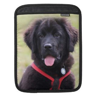 Newfoundland dog puppy cute beautiful photo, gift iPad sleeves
