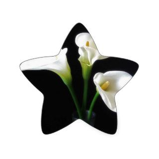 Elegant Calla Lily Flowers 10 Star Stickers