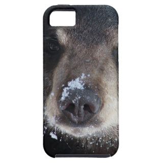 Bear Kisses Anyone? iPhone 5 Cover