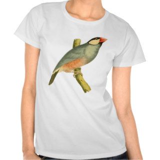 Java Sparrow, T Shirts