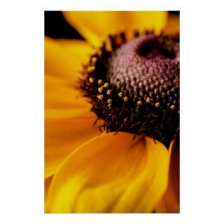 Black Eyed Susan Yellow Daisy Flower   Customized Posters
