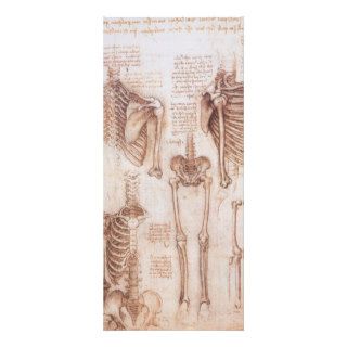 Anatomy Drawings Human Skeletons Leonardo da Vinci Custom Rack Cards