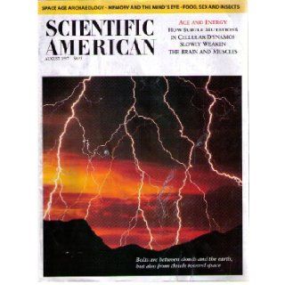 Scientific American Magazine August 1997 (Volume 277 Number 2) Books