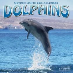 Dolphins 2010 Calendar General