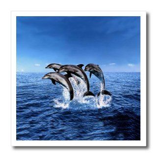 ht_308_3 Dolphins   Dolphins   Iron on Heat Transfers   10x10 Iron on Heat Transfer for White Material Patio, Lawn & Garden