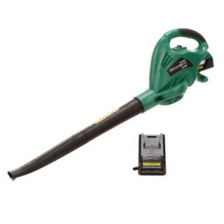 Weed Eater 80/125 mph 170 CFM 20 Volt Cordless Blower DISCONTINUED 966709601