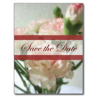 Almost White Carnations 6 Save the Date Wedding Postcards