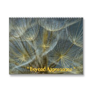 " Beyond Apperances" Calendars