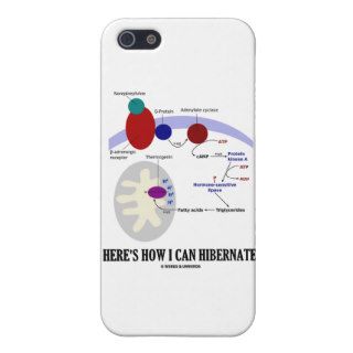 Here's How I Can Hibernate (Thermogenesis) Covers For iPhone 5