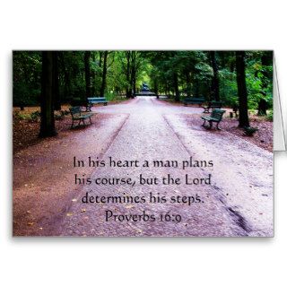 Proverbs 169 Inspirational Bible Verse Cards