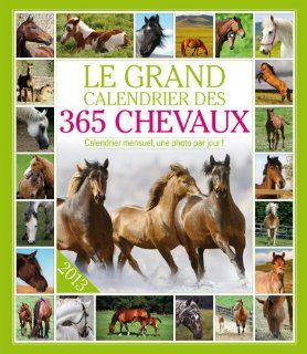 Le grand calendrier des chevaux 2013 (French Edition) Editions 365 9782351554777 Books