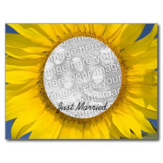 Sunflower Wedding Photo Template Post Cards